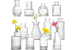 Homshsjhkis 12 Pcs Mini Vases en Verre, Vase Fleur Transparent, Petit Vase Deco Table, Glasvasen pour Arrangements Floraux, Centres de Table Mariage, Bricolage, Décorations de Table Moderne