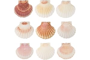 WEKUW 10 Pezzi Conchiglie Decorative Grandi, 10-12 cm per Cucina, Mestieri, Artigianato, DIY, Capesante, Antipasto, Piatto Spuntino Decorazione