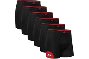 DANISH ENDURANCE Mens Bamboo Underpants,Soft and Airy, Breathable and Anti-Odor. Comfortable Briefs for Daily and Exercise, Pack of 6 and 10