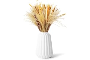 CAIXINYI 100 bouquet di erba di Pampas Decorative, erba di coda di coniglio e fiori di canna essiccati misti, adatti per composizioni nuziali, decorazioni da tavola, case in stile country e feste di Natale