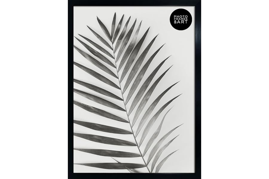 pf+a Perspex Window Black A2 Frame - A2 Poster Frame / A2 (59.4x42cm) Frame Portrait and Landscape Display
