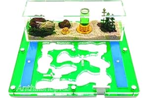 ANTHILLSHOP Hormiguero 20 x 20 Espuma acrílico Verde (con Hormigas Gratis, de 20 a 30 obreras).