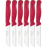 Solingen 6'lı Tırtıklı Meyve Bı&ccedil;ağı Seti, Paslanmaz &Ccedil;elik, Ergonomik Kaymaz Sap, Ultra Keskin, Meyve ve Sebze i&ccedil;in, 18 cm (PE