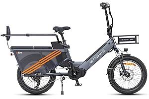 ENGWE Bici Elettrica per Adulti, Motore Centrale da 250W 100Nm, Bici Elettrica con tracciamento APP, Bici Elettrica 25KM/H con batteria rimovibile 48V 19.2AH/38.4AH fino a 180/350KM, LE20 Cargo