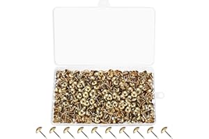 Tenbrachian 580 Stk Polsternägel, Polster Reißzwecken, Ziernägel, Vintage Reisszwecken, antik Möbel Nägel, Dekorative Reißnägel, Gold Heftzwecken Nägel, Dekornagel für Möbel Sessel Sofa Bett(Gold)