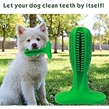 Xenon Venture Natural Rubber Bristly Bite Resistant Non Toxic Toothbrush Stick for Puppy Doge pet Dental Care Teeth Cleaning Toy,Brushing Stick for Dogs(Small)