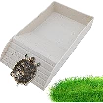 Ciotola Cibo E Acqua Per Rettili A Forma Di Tronco - Con Pinzette Per Alimentazione - Foto 4