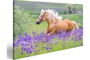 islandburner Tableau sur toile Équitation de loisirs pour la pépinière de chevaux Palomino Cadre Affiche Poster Murale Tableaux