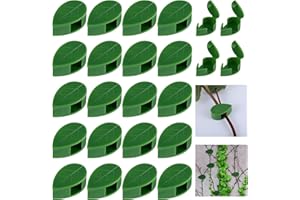 Ouligay 20 sztuk klipsów ściennych do roślin pnących, samoprzylepnych klipsów do roślin, do wspinaczki, do mocowania na ścianie, do wspinaczki