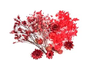 QZKJQDD Getrocknete Blumen, Trockenblumen Zum Basteln, Getrocknete Blumen, Trockenblumen Klein, Für DIY Handwerk Dekoration Epoxidharz Handwerk Scrapbooking Kartenherstellung (roter Anzug)