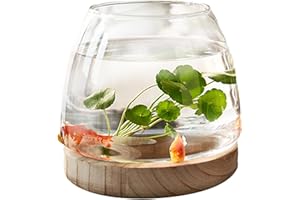 Penlimly Ciotola per Pesci in Vetro Trasparente con Base in Legno, Decorazione per Acquario