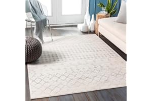 Surya Santiago Tapis Géométrique Scandinave - Tapis de Couloir, Salon, Salle à Manger, Chambre, Cuisine - Tapis Design Boheme Chic, Berbere Moderne, Tapis Poil Court 80x150cm - Blanc Cassé, Gris Clair