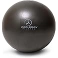 Mini Exercise Ball - 9 Inch Small Bender Ball for Stability, Barre, Pilates, Yoga, Core Training and Physical Therapy (Black)