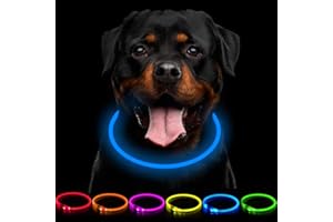 CCWW LED Light Up Dog Collar USB Rechargeable - Adjustable Length Pet Safety Collar for Dogs and Cats - 3 Modes
