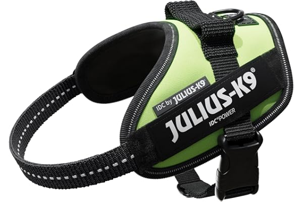 Arnés IDC Power, Tamaño: XS/Mini-Mini, Verde Neón