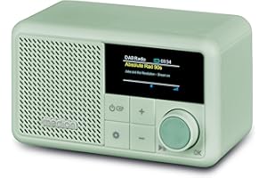 MEDION S66822 Tragbares Mini DAB+ Radio mit Bluetooth (Akku mit bis zu 6,5 Stunden, klein, dimmbares Farbdisplay, Teleskopantenne, Sleeptimer, Wecker, Snooze, AUX, USB-C) grün