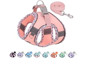 AIITLE Arnés y Correa antitirones para Perros, arnés Ajustable con Chaleco Acolchado para Todo Tipo de Clima, fácil de Colocar en Perros pequeños, Rosa S