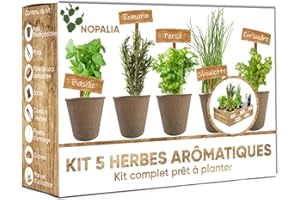 NOPALIA® Kit Herbes Aromatiques Bio Prêt à Pousser - 5 Variétés (Basilic, Persil, Ciboulette, Coriandre, Romarin) Pots Biodégradables, Terre & Ebook Recettes - Cadeau Cuisine Noël
