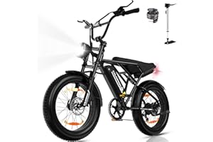 COLORWAY BK29G Vélo électrique, EBike 20'' avec Pneu Large 4.0, Moteur 250W et Batterie 36V 12Ah, avec écran LCD, Double Frein à Disque, jusqu'à 45-90km d'autonomie