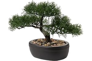 BRIFUL Bonsai Artificial Realista - Planta Artificial - Bonsai - Cedro - Pino Podocarpus - Plástico - con Maceta de cerámica - Negro - para decoración de baño, Oficina, alféizar de la Ventana