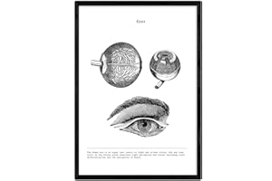 Nacnic Stampa artistica in Bianco e Nero, immagini del Corpo umano occhio Biologia con dettaglio. Medicina generale- Medico ospedali. Scenze. Poster di anatomia. 250 Grammi di Alta Qualità.
