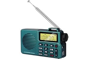 WINNIW Portable Radio, DSP and AM/FM Bluetooth 5.0 radio, Small Radio, Portable Radios Mains and Battery, USB Charging for 17+ Hours Playback, Alarm and Sleep Function(Army Green)