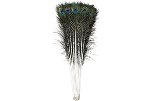 Trimming Shop Real Peacock Feather 27 inches - 31 inches Bird Tail Colourful Feathers Pack for Wedding Christmas Party Centerpiece Decoration, DIY Art & Craft, 10pcs
