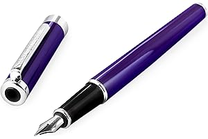 Helix Oxford Stylo plume en acier inoxydable Pointe moyenne Corps violet