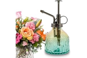 YOUR'S BATH Vaporisateur D'arrosage en Verre, Arrosoir Vaporisateur Vintage,Pulvérisateur Plantes 200ML,Arrosoir à Une pour Fleurs Succulentes Herbes Plantes Maison Jardin (01)