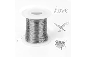 TAIXING Fil de Fer Souple Loisir Creatif 0,5mm x 100m - Fil D'Artisanat en Acier Inoxydable 304, Fil Métallique Flexible pour Bijoux, Bricolage, Modélisme, Art Floral avec Bobine(Argent)
