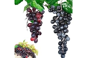 ‎N\C NC NC WideSmart 2 Saiten, künstliche Trauben, realistisch, aus Kunststoff, Mini-Trauben, künstliche Trauben, Dekoration, künstliche Trauben, Simulation, Requisiten, für Fotografie, Party-Dekoration