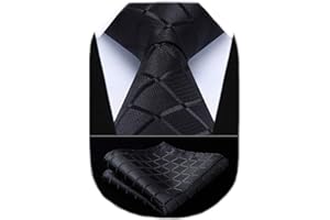 HISDERN Cravate Homme à Carreaux Élégante Formelle Classique Couleur Unie Cravates Hommes et Mouchoir pour Mariage d'affaires Fete