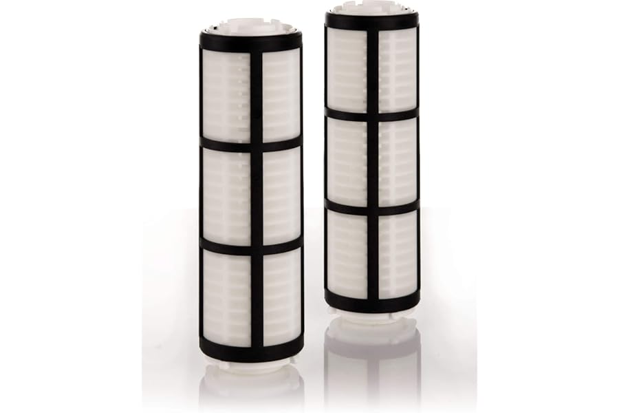 BWT Filter Element E1 10383 Pack of 2 Colour