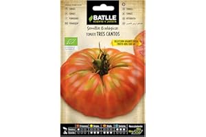 Semillas Batlle Tomate Tres cantos Gigante Rosa - ECO