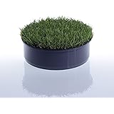 Easymaxx Flaschenkuhler Outdoor Erdloch Bierkuhler Camping Kuhlschrank Flaschenkuhlschrank Bis Zu 15 Flaschen Highlight Im Garten Outdoorkuche Und Terrasse Easymaxx Amazon De Garten