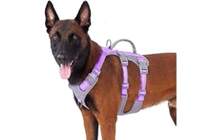 Huntboo pettorina cane taglia piccola media grande, pettorina antifuga cane, pettorina per cani con Manico, Traspirante, Regolabile, Riflettenti, Leggera, per Passeggiate e Addestramento (Viola,L)