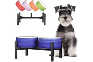 PTOBER Ceramic Elevated Dog Bowl Set - Dog Feeder Station with Colorful Double Bowls for Small and Medium Size Breed - Non-Slip Raised Dish for Food and Water Feeding- 6 Inch - 3.5 Cups / 22 fl oz - Blue