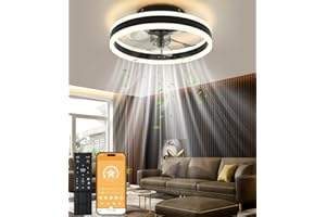 ‎NALEZUNS Nalezuns Ventilator Deckenleuchte,LED Deckenventilator mit Beleuchtung,3 Farbtemperatur und 6 Geschwindigkeiten Deckenventilator mit Lampe,Fernbedienung Leise Dimmbar Ventilator Deckenlampe