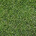 Produktbild AMANKA Kunstrasen 200x100cm Rasenteppich 30mm Kunstrasen-Teppich 2600g/m² Künstlicher Rasen Wasserdurchlässig Grün