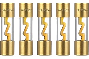 VEXUNGA Fusibili AGU 30A Audio Vetro Placcato Oro Fusibile 30 Ampere per Amplificatore Auto Impianto Stereo Marino Car Protezione Dell'Alimentazione (Confezione da 5 Pezzi)