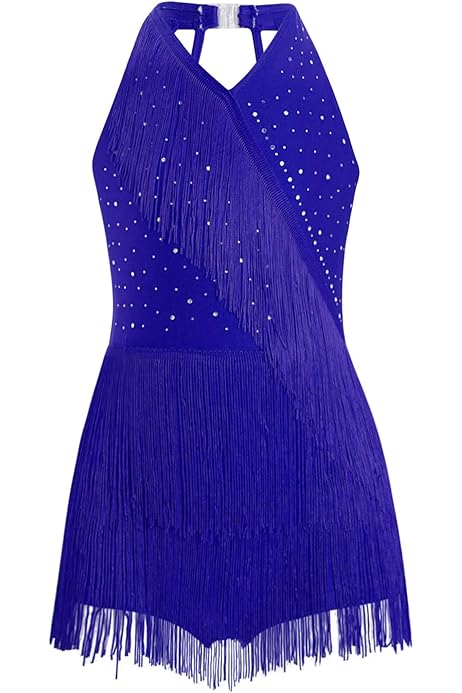 Samba Robe Pour Danser La Salsa Robe Charleston Costume De Danse