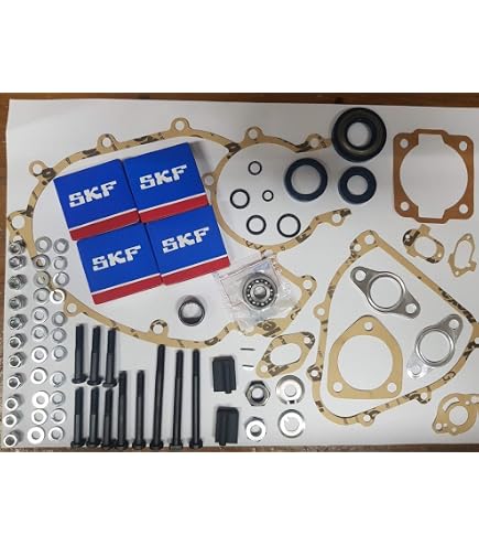 KIT REVISIONE MOTORE CONO 20 CUSCINETTI SKF GUARNIZIONI PARAOLI Ape 50 FL3 Europ