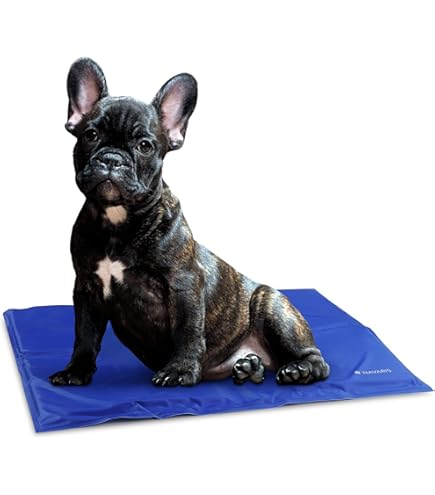 Polaza®️ Koelmat Voor Hond & Kat - Ideaal Voor De Zomer - Hondenmat