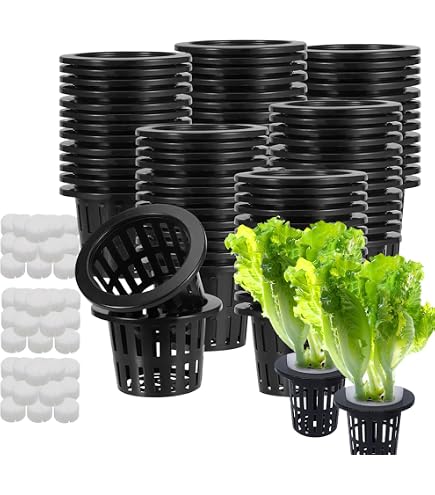 Hydrokultur Netztöpfe 30 Stück – 8,3 Cm, Schwarz, Für Erdlosen Anbau, Ideal Für Kräuter & Gemüse!