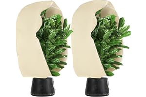 Beslands Paquet de 2 Housse hivernage pour Plantes 80 g/m²(180 * 120cm), Housses de Protection d'extérieures, Voile d’hivernage pour Plantes, Protection cContre Le Gel