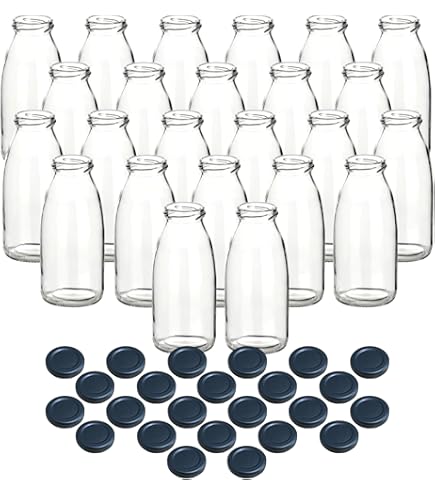 gouveo Set van 24 sapflessen 250 ml met schroefdop zilver - glazen fles 0,25 l met TO43 dop - lege fles voor sap, smoothie, limonade (SF250S