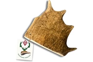 ChronoBalance® XL Damwild Hirschgeweih für Hunde Kauspielzeug: 100% Hirschgeweih echt Hundespielzeug zur Zahnpflege, Hunde Kauartikel, Kausnack Hund mit Mineralstoffen & Nährstoffen, XL (1er Set)