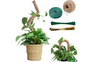 SUNOYA Tutores para Plantas, 120cm Tutor Plantas, Apilables Tutor Monstera, Palos para Plantas, Palo De Musgo, Trepadoras Fibra De Soporte Tutores para Plantas Trepadoras Adecuado para Interior Plantas