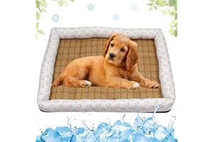 LEZUAN Tappetino Refrigerante per Cani Antiscivolo, Tappetini Cani Estivo, Cucce Lavabili per Cani, Tappetino Autoraffreddante per Animali Domestici(Grigio,40x50cm)