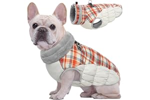 Kuoser Warme Hundejacke, Reflektierende Hundemantel, Winddichte Hundemantel für Kleine Hunde,Moden Hundemantel Grosse Hunde, Hunde Wintermantel, Hundemantel Mit Geschirr Rot XS
